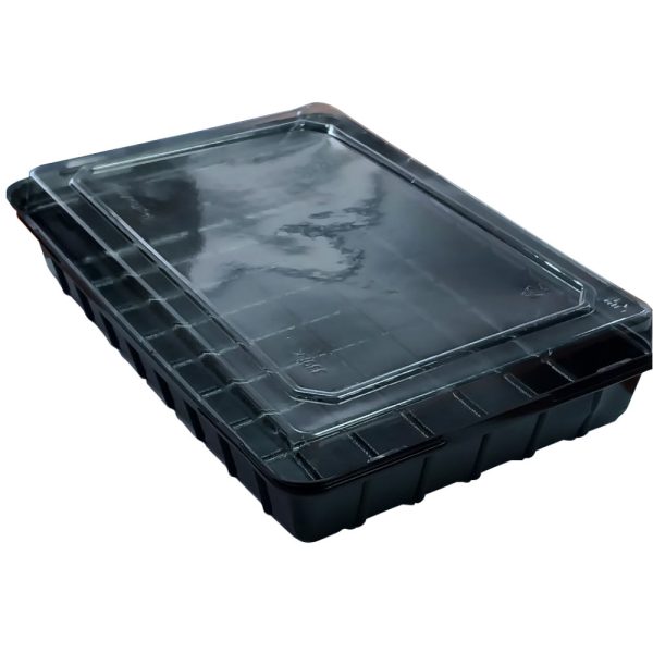 konteyner-dlya-kharchovykh-produktiv-sl-339bl_16130-1000x1000 Контейнер для суши 339 PK кришка 250 шт/ящ (278*195*60)